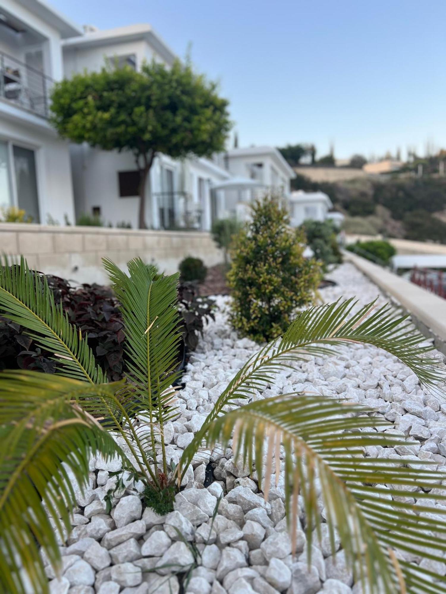 Pissouri Image公寓 外观 照片